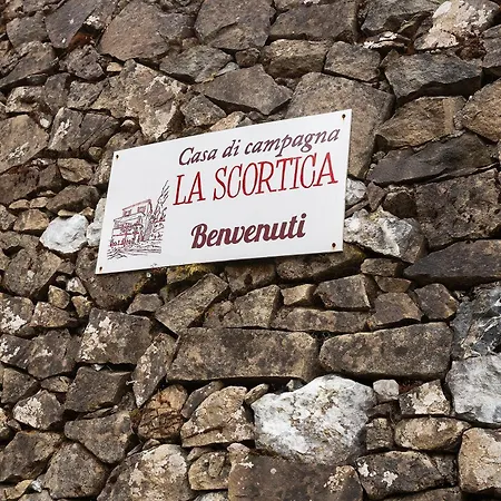 La Scortica - Bed & Breakfast *